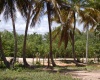 land for sale, waterfront, uvero alto, puntacana, bavaro, frente a la playa, se vende, tierra, lote de terreno, dominican republic, republica dominicana.
