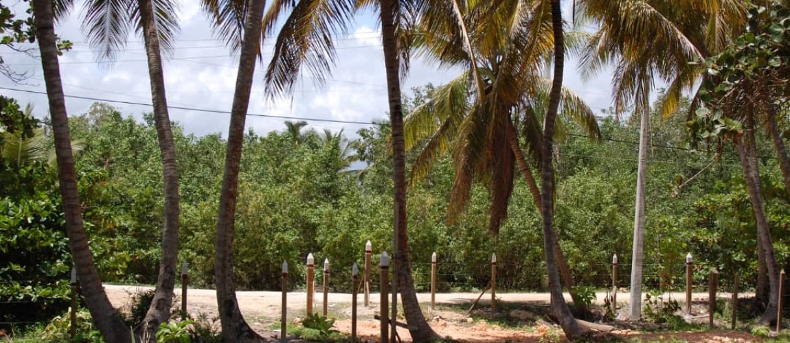 land for sale, waterfront, uvero alto, puntacana, bavaro, frente a la playa, se vende, tierra, lote de terreno, dominican republic, republica dominicana.