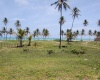 land for sale, waterfront, uvero alto, puntacana, bavaro, frente a la playa, se vende, tierra, lote de terreno, dominican republic, republica dominicana.
