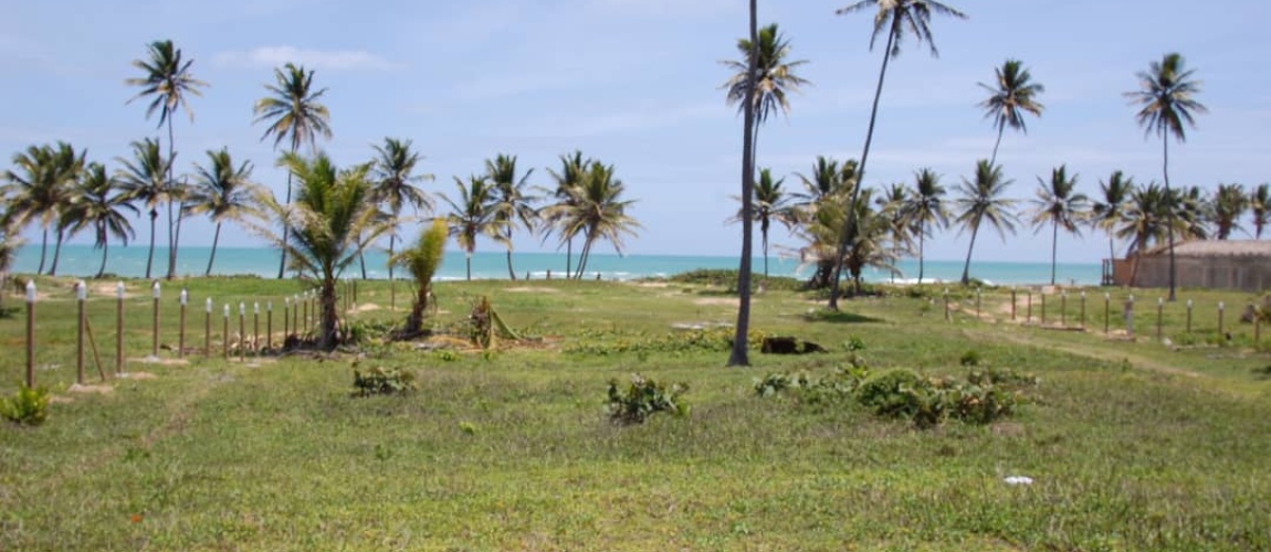 land for sale, waterfront, uvero alto, puntacana, bavaro, frente a la playa, se vende, tierra, lote de terreno, dominican republic, republica dominicana.