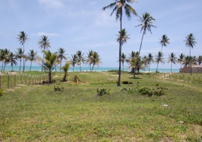 land for sale, waterfront, uvero alto, puntacana, bavaro, frente a la playa, se vende, tierra, lote de terreno, dominican republic, republica dominicana. land for sale, waterfront, uvero alto, puntacana, bavaro, frente a la playa, se vende, tierra, lote de terreno, dominican republic, republica dominicana.