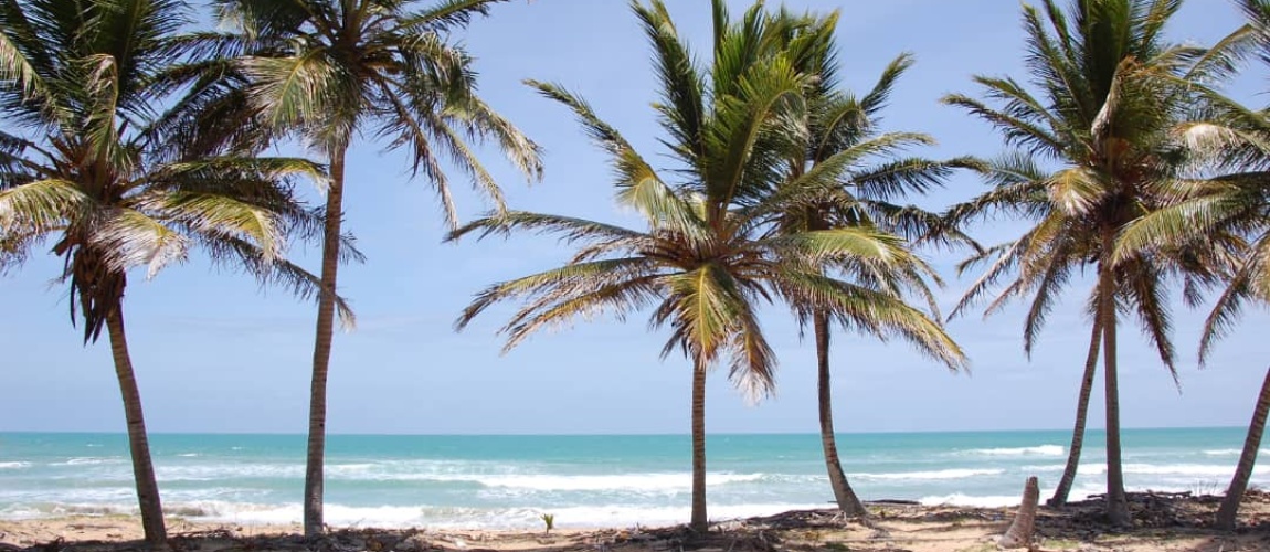 land for sale, waterfront, uvero alto, puntacana, bavaro, frente a la playa, se vende, tierra, lote de terreno, dominican republic, republica dominicana.