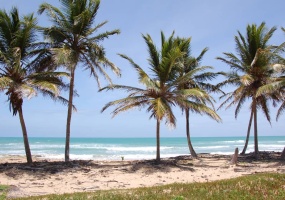 land for sale, waterfront, uvero alto, puntacana, bavaro, frente a la playa, se vende, tierra, lote de terreno, dominican republic, republica dominicana. land for sale, waterfront, uvero alto, puntacana, bavaro, frente a la playa, se vende, tierra, lote de terreno, dominican republic, republica dominicana.