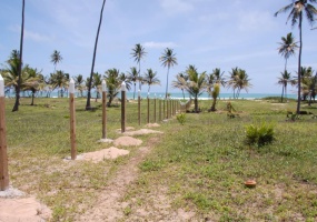 land for sale, waterfront, uvero alto, puntacana, bavaro, frente a la playa, se vende, tierra, lote de terreno, dominican republic, republica dominicana. land for sale, waterfront, uvero alto, puntacana, bavaro, frente a la playa, se vende, tierra, lote de terreno, dominican republic, republica dominicana.