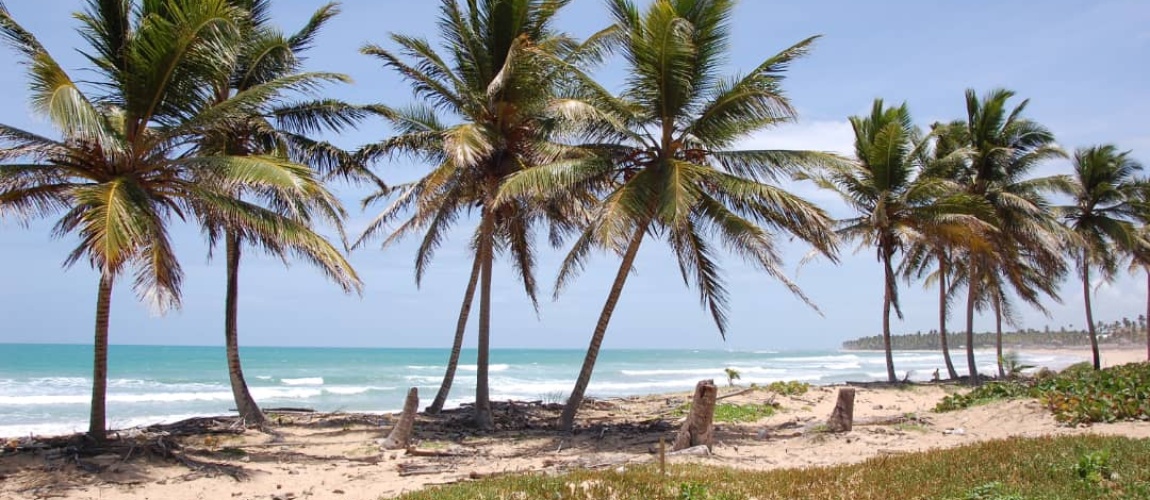 land for sale, waterfront, uvero alto, puntacana, bavaro, frente a la playa, se vende, tierra, lote de terreno, dominican republic, republica dominicana.