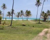 land for sale, waterfront, uvero alto, puntacana, bavaro, frente a la playa, se vende, tierra, lote de terreno, dominican republic, republica dominicana.
