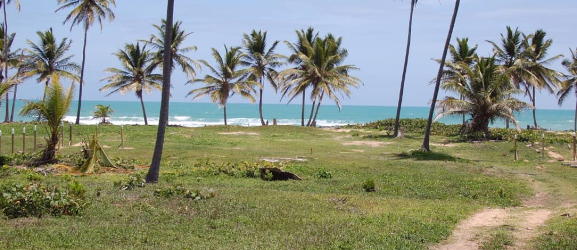 land for sale, waterfront, uvero alto, puntacana, bavaro, frente a la playa, se vende, tierra, lote de terreno, dominican republic, republica dominicana.