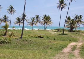 land for sale, waterfront, uvero alto, puntacana, bavaro, frente a la playa, se vende, tierra, lote de terreno, dominican republic, republica dominicana. land for sale, waterfront, uvero alto, puntacana, bavaro, frente a la playa, se vende, tierra, lote de terreno, dominican republic, republica dominicana.