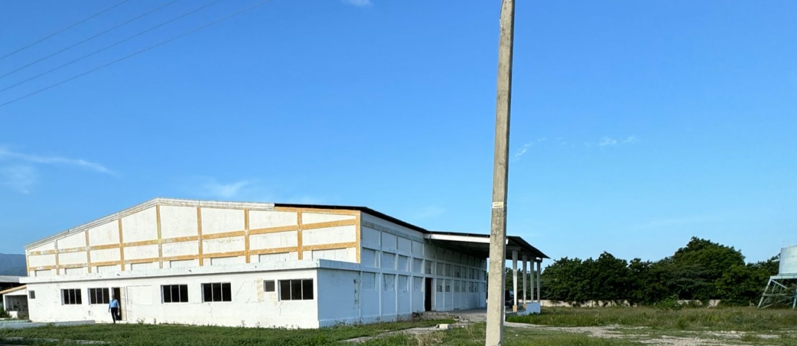 alquiler de nave industrial santo domingo, alquiler nave industrial bavaro, propiedades en alquiler, almacen en alquiler y venta, alquiler de bodega, alquiler de galpon, alquiler de nave en zona franca, santo domingo, bavaro, punta cana, santiago, puerto plata, warehouse for lease, warehouse for sale, haina, puerto caucedo, san cristobal, azua, propiedades en alquiler en RD, rent a house in DR