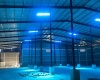 Santo Domingo Oeste, lease, for rent, alquiler, nave industrial, galpon, almacen, bodega, new, caucedo, haina Santo Domingo Oeste, lease, for rent, alquiler, nave industrial, galpon, almacen, bodega, new, caucedo, haina