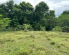 Terreno en venta, Torre Alta, Puerto Plata, República Dominicana, inversión inmobiliaria, proyecto residencial, bienes raíces, zona exclusiva, vistas al océano, alta gama, seguridad, ubicación privilegiada, clima fresco, proximidad a servicios, oportunidad de inversión. Land for sale, Torre Alta, Puerto Plata, Dominican Republic, real estate investment, residential project, exclusive area, ocean views, high-end, security, prime location, cool climate, proximity to services, investment opportunity.