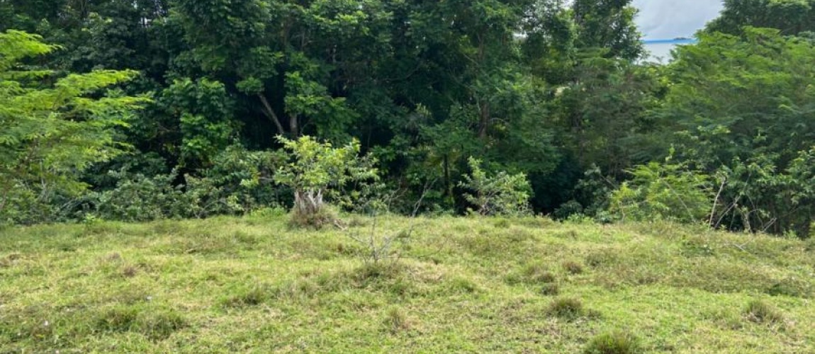 Terreno en venta, Torre Alta, Puerto Plata, República Dominicana, inversión inmobiliaria, proyecto residencial, bienes raíces, zona exclusiva, vistas al océano, alta gama, seguridad, ubicación privilegiada, clima fresco, proximidad a servicios, oportunidad de inversión. Land for sale, Torre Alta, Puerto Plata, Dominican Republic, real estate investment, residential project, exclusive area, ocean views, high-end, security, prime location, cool climate, proximity to services, investment opportunity.