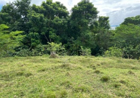 Terreno en venta, Torre Alta, Puerto Plata, República Dominicana, inversión inmobiliaria, proyecto residencial, bienes raíces, zona exclusiva, vistas al océano, alta gama, seguridad, ubicación privilegiada, clima fresco, proximidad a servicios, oportunidad de inversión. Land for sale, Torre Alta, Puerto Plata, Dominican Republic, real estate investment, residential project, exclusive area, ocean views, high-end, security, prime location, cool climate, proximity to services, investment opportunity. Terreno en venta, Torre Alta, Puerto Plata, República Dominicana, inversión inmobiliaria, proyecto residencial, bienes raíces, zona exclusiva, vistas al océano, alta gama, seguridad, ubicación privilegiada, clima fresco, proximidad a servicios, oportunidad de inversión. Land for sale, Torre Alta, Puerto Plata, Dominican Republic, real estate investment, residential project, exclusive area, ocean views, high-end, security, prime location, cool climate, proximity to services, investment opportunity.