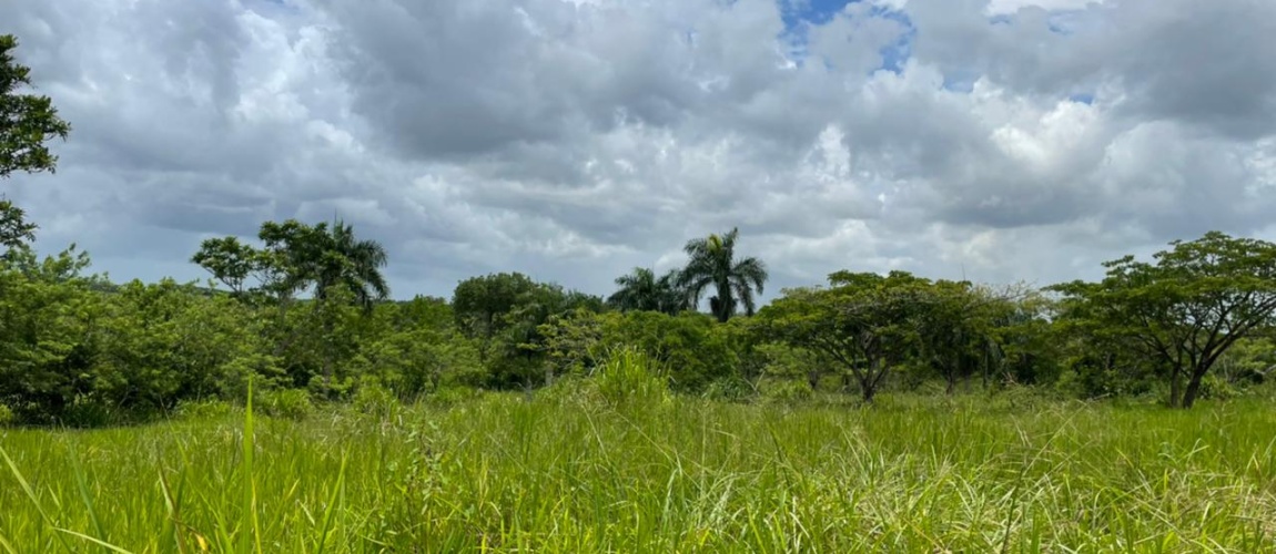 Land for sale Santo Domingo Industrial park land Dominican Republic Logistics hub land for sale Santo Domingo Circunvalación land Warehouse development lot DR Agricultural land Santo Domingo Duarte Expressway commercial land Haina port industrial land Caucedo port logistics land Investment land Dominican Republic Terreno en venta Santo Domingo Terreno parque industrial República Dominicana Terreno logístico en Circunvalación Lote para almacenes RD Terreno agrícola Santo Domingo Inversión inmobiliaria industrial RD Terreno cerca Autopista Duarte Parque logístico Haina Caucedo
