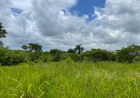 Land for sale Santo Domingo Industrial park land Dominican Republic Logistics hub land for sale Santo Domingo Circunvalación land Warehouse development lot DR Agricultural land Santo Domingo Duarte Expressway commercial land Haina port industrial land Caucedo port logistics land Investment land Dominican Republic Terreno en venta Santo Domingo Terreno parque industrial República Dominicana Terreno logístico en Circunvalación Lote para almacenes RD Terreno agrícola Santo Domingo Inversión inmobiliaria industrial RD Terreno cerca Autopista Duarte Parque logístico Haina Caucedo