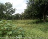 Lote de terreno de 15,000 M2 en la Ave. Hispanoamericana Lote de terreno de 15,000 M2 en la Ave. Hispanoamericana