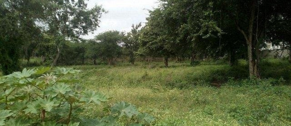 Lote de terreno de 15,000 M2 en la Ave. Hispanoamericana Lote de terreno de 15,000 M2 en la Ave. Hispanoamericana