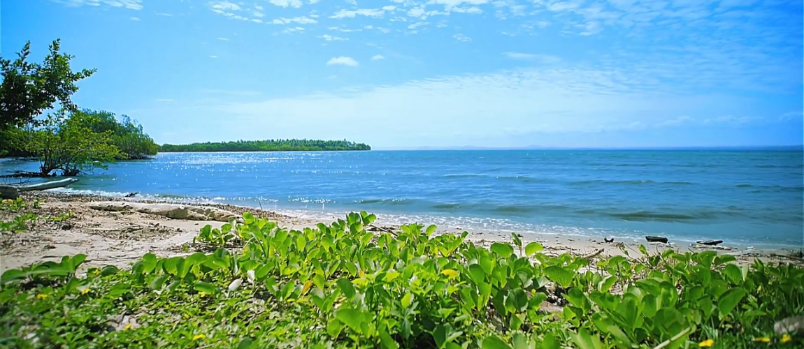 Samana land for sale beachfront land Dominican Republic land with private beaches Dominican Republic real estate resort development land villa development Samana investment property Dominican Republic land near airstrip DR Samana beachfront property Caribbean investment land terreno en venta Samaná terreno frente al mar República Dominicana propiedad con playas privadas bienes raíces República Dominicana terreno para resort desarrollo de villas Samaná inversión inmobiliaria Caribe terreno con acceso aéreo terreno turístico Samaná oportunidad de inversión RD