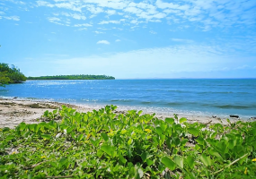 Samana land for sale beachfront land Dominican Republic land with private beaches Dominican Republic real estate resort development land villa development Samana investment property Dominican Republic land near airstrip DR Samana beachfront property Caribbean investment land terreno en venta Samaná terreno frente al mar República Dominicana propiedad con playas privadas bienes raíces República Dominicana terreno para resort desarrollo de villas Samaná inversión inmobiliaria Caribe terreno con acceso aéreo terreno turístico Samaná oportunidad de inversión RD