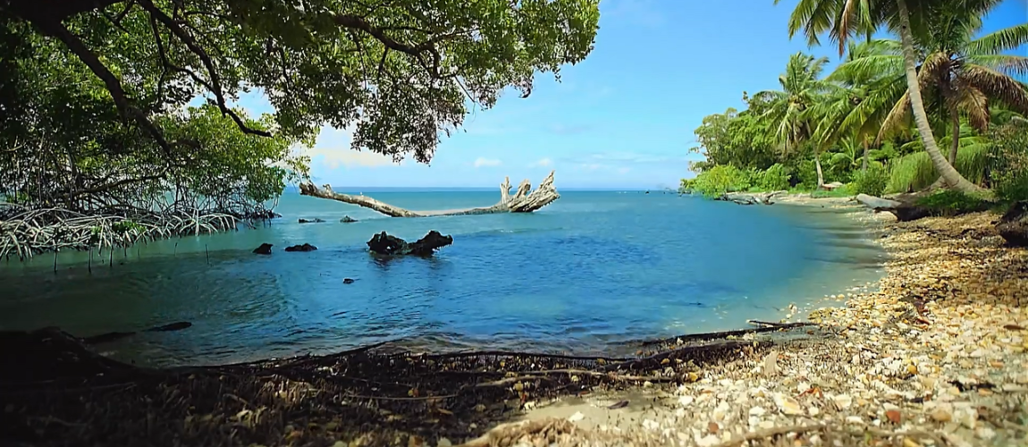 Samana land for sale beachfront land Dominican Republic land with private beaches Dominican Republic real estate resort development land villa development Samana investment property Dominican Republic land near airstrip DR Samana beachfront property Caribbean investment land terreno en venta Samaná terreno frente al mar República Dominicana propiedad con playas privadas bienes raíces República Dominicana terreno para resort desarrollo de villas Samaná inversión inmobiliaria Caribe terreno con acceso aéreo terreno turístico Samaná oportunidad de inversión RD