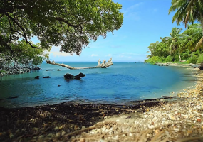 Samana land for sale beachfront land Dominican Republic land with private beaches Dominican Republic real estate resort development land villa development Samana investment property Dominican Republic land near airstrip DR Samana beachfront property Caribbean investment land terreno en venta Samaná terreno frente al mar República Dominicana propiedad con playas privadas bienes raíces República Dominicana terreno para resort desarrollo de villas Samaná inversión inmobiliaria Caribe terreno con acceso aéreo terreno turístico Samaná oportunidad de inversión RD