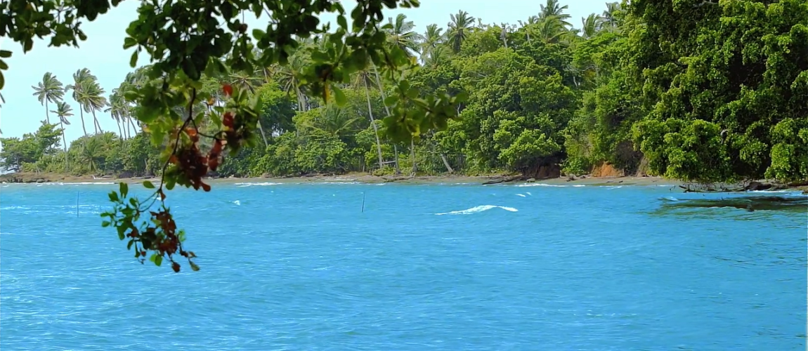 Samana land for sale beachfront land Dominican Republic land with private beaches Dominican Republic real estate resort development land villa development Samana investment property Dominican Republic land near airstrip DR Samana beachfront property Caribbean investment land terreno en venta Samaná terreno frente al mar República Dominicana propiedad con playas privadas bienes raíces República Dominicana terreno para resort desarrollo de villas Samaná inversión inmobiliaria Caribe terreno con acceso aéreo terreno turístico Samaná oportunidad de inversión RD