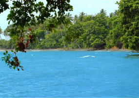 Samana land for sale beachfront land Dominican Republic land with private beaches Dominican Republic real estate resort development land villa development Samana investment property Dominican Republic land near airstrip DR Samana beachfront property Caribbean investment land terreno en venta Samaná terreno frente al mar República Dominicana propiedad con playas privadas bienes raíces República Dominicana terreno para resort desarrollo de villas Samaná inversión inmobiliaria Caribe terreno con acceso aéreo terreno turístico Samaná oportunidad de inversión RD