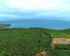 Samana land for sale beachfront land Dominican Republic land with private beaches Dominican Republic real estate resort development land villa development Samana investment property Dominican Republic land near airstrip DR Samana beachfront property Caribbean investment land terreno en venta Samaná terreno frente al mar República Dominicana propiedad con playas privadas bienes raíces República Dominicana terreno para resort desarrollo de villas Samaná inversión inmobiliaria Caribe terreno con acceso aéreo terreno turístico Samaná oportunidad de inversión RD