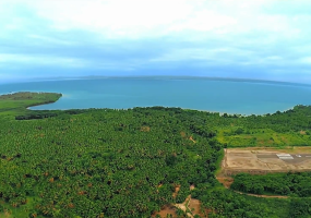 Samana land for sale beachfront land Dominican Republic land with private beaches Dominican Republic real estate resort development land villa development Samana investment property Dominican Republic land near airstrip DR Samana beachfront property Caribbean investment land terreno en venta Samaná terreno frente al mar República Dominicana propiedad con playas privadas bienes raíces República Dominicana terreno para resort desarrollo de villas Samaná inversión inmobiliaria Caribe terreno con acceso aéreo terreno turístico Samaná oportunidad de inversión RD
