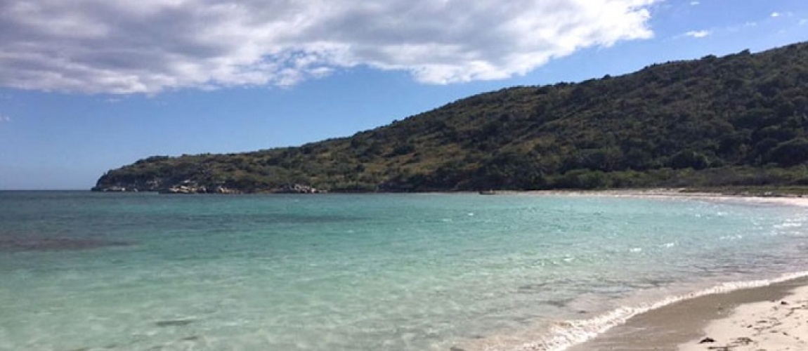 Azua, finca, farm, Santiago,santo domingo,bávaro, corotos, punta cana,puerto plata, bienes raices,Inmobiliaria,san francisco de Macorís,san pedro de Macorís,samana,las terrenas,san cristóbal, la romana, Commercial real estate property for sale and lease Dominican Republic, for lease, rent, commercial building for sale, industrial property for sale, commercial land for sale, commercial space for sale rent lease, commercial real estate listing