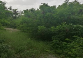 boca chica, land for sale, tierra, waterfront, autopista duarte, santo domingo, dominican republic, lotes, terreno, projecto, project