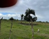 Land, terrenos, fincas, lotes de terreno, oceanfront land, terrenos de playa, granja, tierras, farm, solar panels, paneles solares, project, proyectos, paneles solares, proyecto fotovoltaico Land, terrenos, fincas, lotes de terreno, oceanfront land, terrenos de playa, granja, tierras, farm, solar panels, paneles solares, project, proyectos, paneles solares, proyecto fotovoltaico